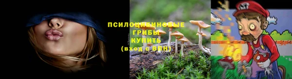 мяу мяу мука Навашино