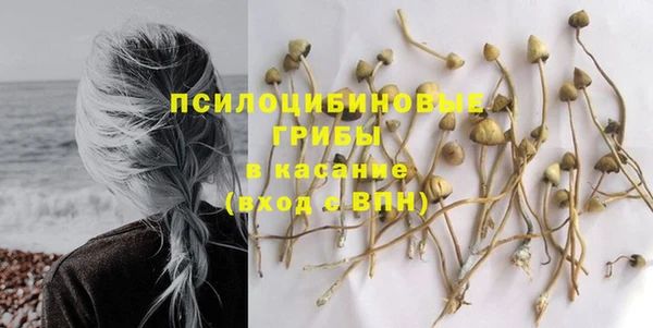 мет Надым