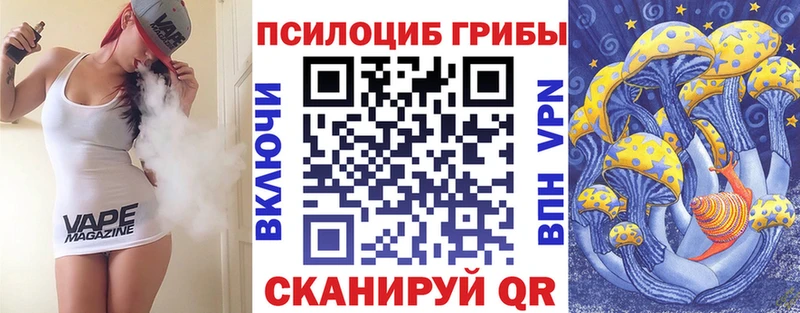 KRAKEN ссылка  Зеленогорск  Галлюциногенные грибы прущие грибы 