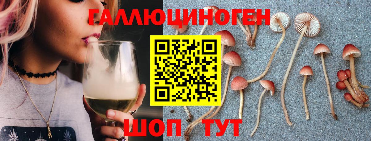 Псилоцибиновые грибы мухоморы  Вход с VPN  Галлюциногенные грибы Cubensis  Зеленогорск 